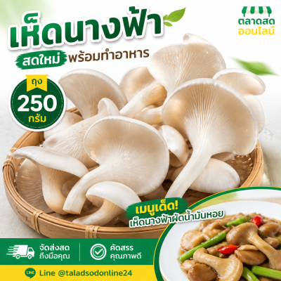 เห็ดนางฟ้า - 250g