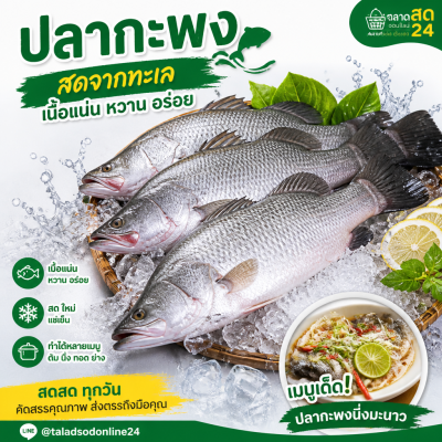 ปลากะพง - 1kg