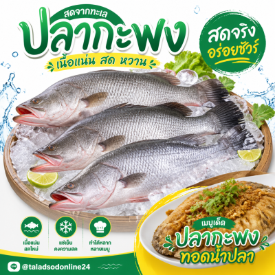ปลากะพง - 1kg