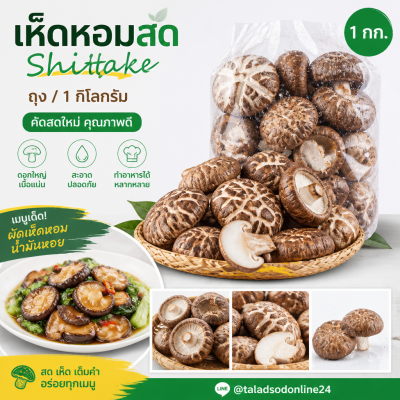 Shiitake - 1kg
