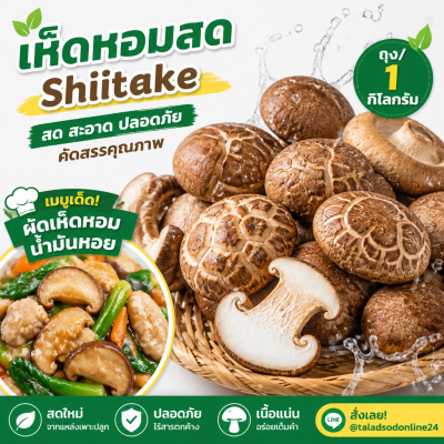 Shiitake - 1kg