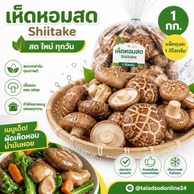 Shiitake - 1kg