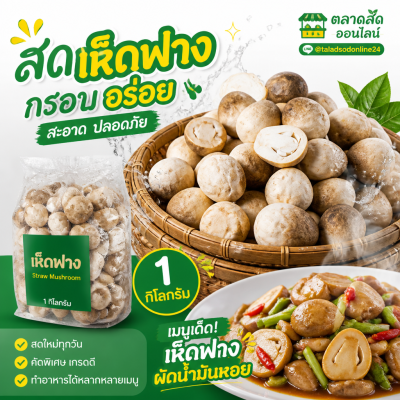 เห็ดฟาง - 1kg