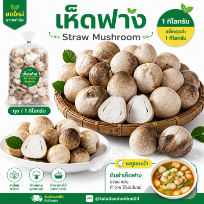 เห็ดฟาง - 1kg