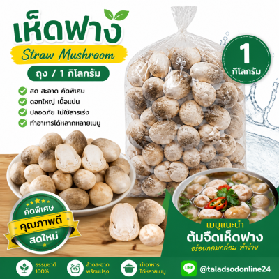เห็ดฟาง - 1kg