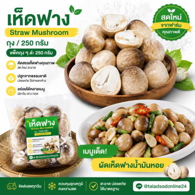 เห็ดฟาง - 250g