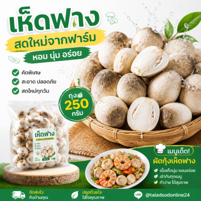 เห็ดฟาง - 250g