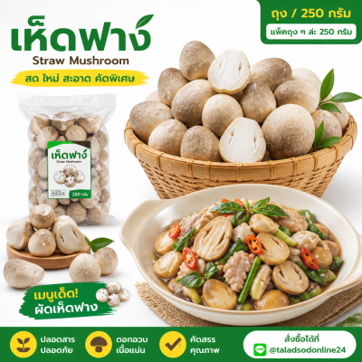 เห็ดฟาง - 250g
