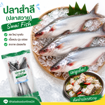 Swai Fish - 1kg