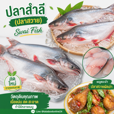 Swai Fish - 1kg
