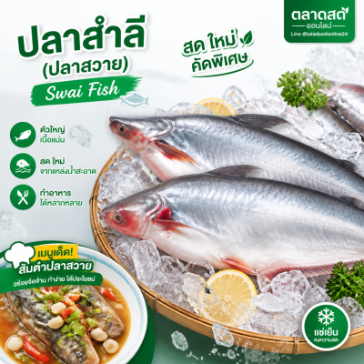 Swai Fish - 1kg