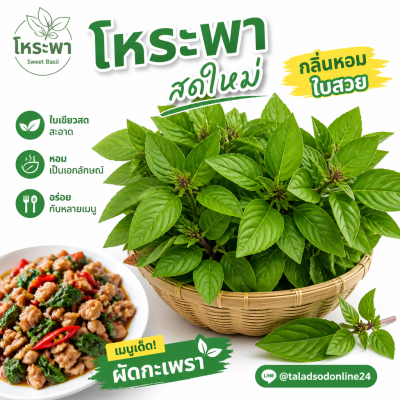 โหระพา - 500g.