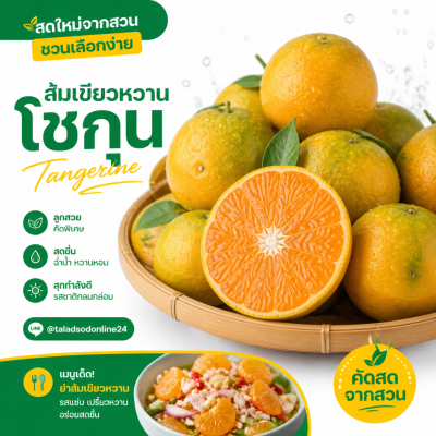 ส้มเขียวหวาน (โชกุน) - 1kg