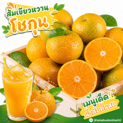 ส้มเขียวหวาน (โชกุน) - 1kg