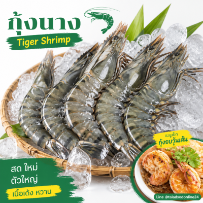กุ้งนาง (กุ้งกุลาดำ) – ไซส์ S20 - 1kg
