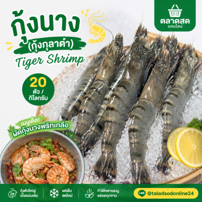 กุ้งนาง (กุ้งกุลาดำ) – ไซส์ S20 - 1kg