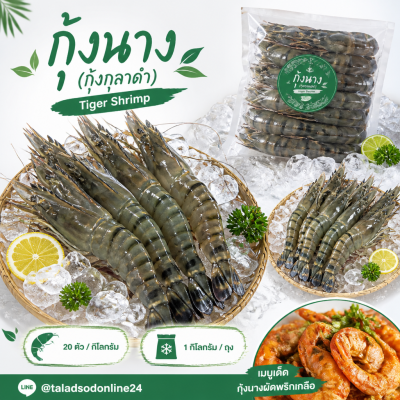 กุ้งนาง (กุ้งกุลาดำ) – ไซส์ S20 - 1kg
