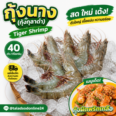 กุ้งนาง (กุ้งกุลาดำ) – ไซส์ S40 - 1kg