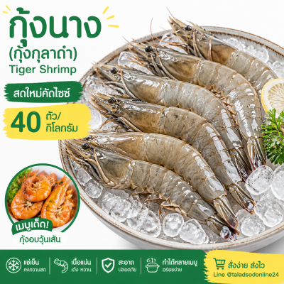 กุ้งนาง (กุ้งกุลาดำ) – ไซส์ S40 - 1kg