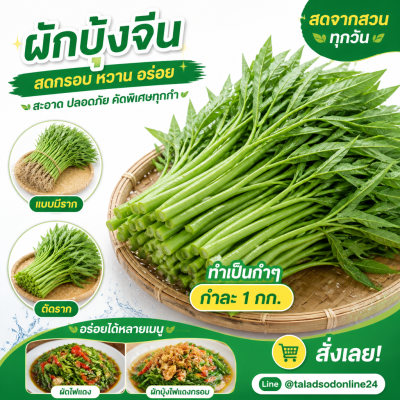 空心菜 – A级 - 1kg