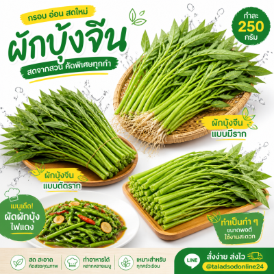 ผักบุ้ง – เกรด A - 250g/กำ