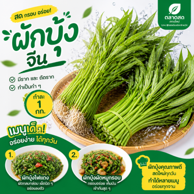 空心菜 – A级 - 1kg
