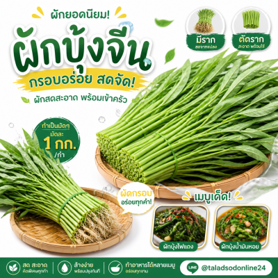 空心菜 – A级 - 1kg