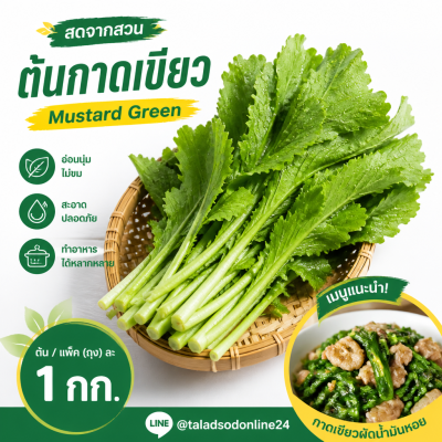 กาดเขียว - 1kg