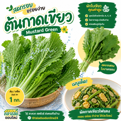 กาดเขียว - 1kg