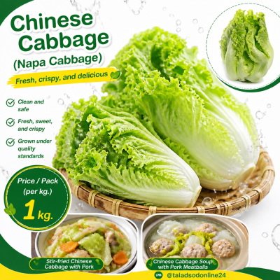大白菜 - 1公斤