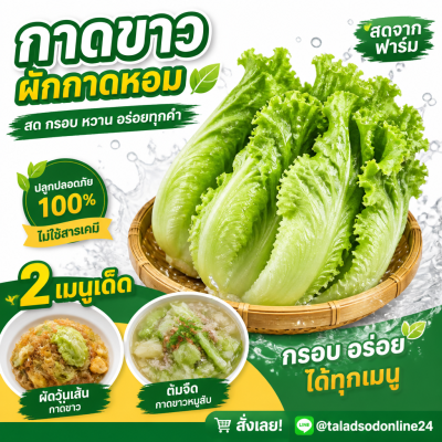 大白菜 - 1公斤