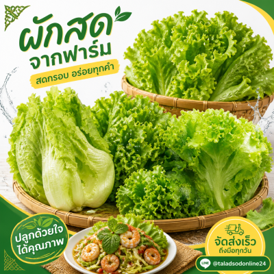 大白菜 - 250克