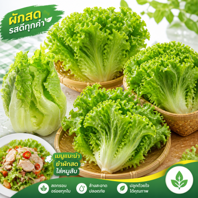大白菜 - 250克