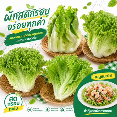 大白菜 - 250克