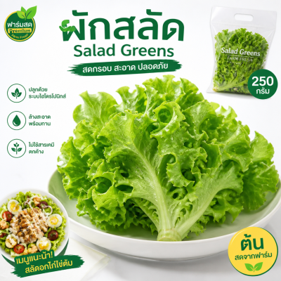 ผักสลัด - 250g