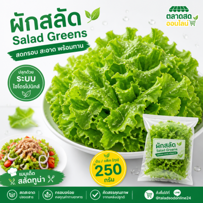 ผักสลัด - 250g