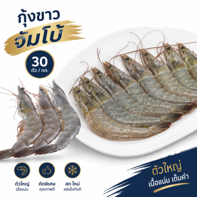 กุ้งขาว – ไซส์ S30