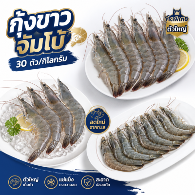 กุ้งขาว – ไซส์ S30