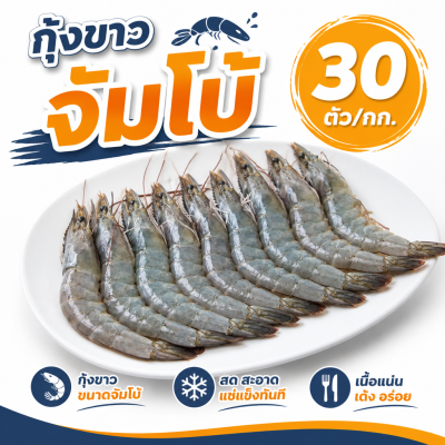 กุ้งขาว – ไซส์ S30