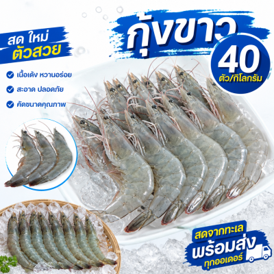 กุ้งขาว – ไซส์ S40