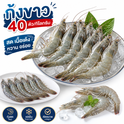 กุ้งขาว – ไซส์ S40
