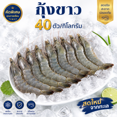 กุ้งขาว – ไซส์ S40