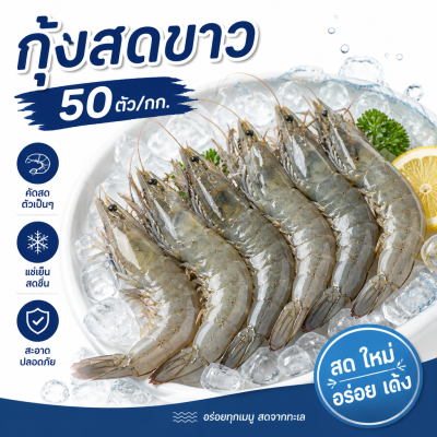 กุ้งขาว – ไซส์ S50
