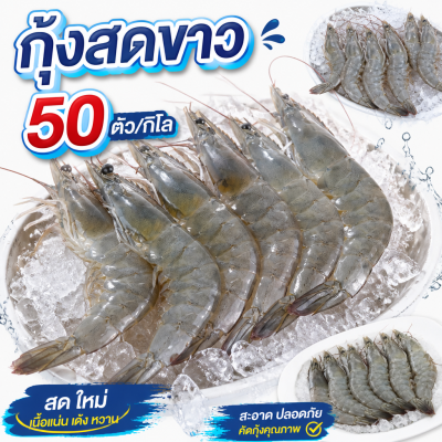กุ้งขาว – ไซส์ S50