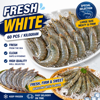 กุ้งขาว – ไซส์ S60