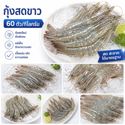 กุ้งขาว – ไซส์ S60