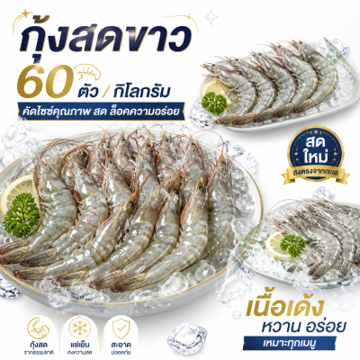 กุ้งขาว – ไซส์ S60