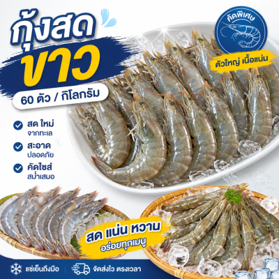 กุ้งขาว – ไซส์ S60