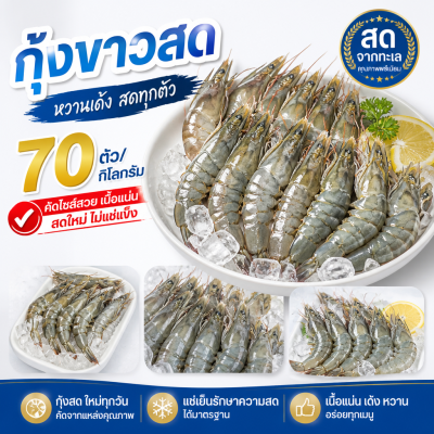 กุ้งขาว – ไซส์ S70