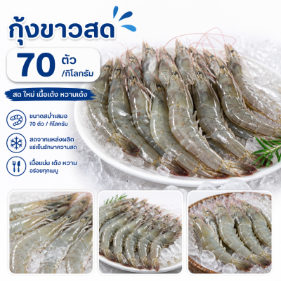 กุ้งขาว – ไซส์ S70